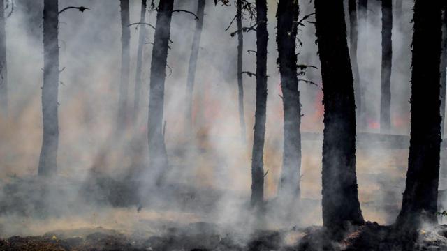 Paradise Fire